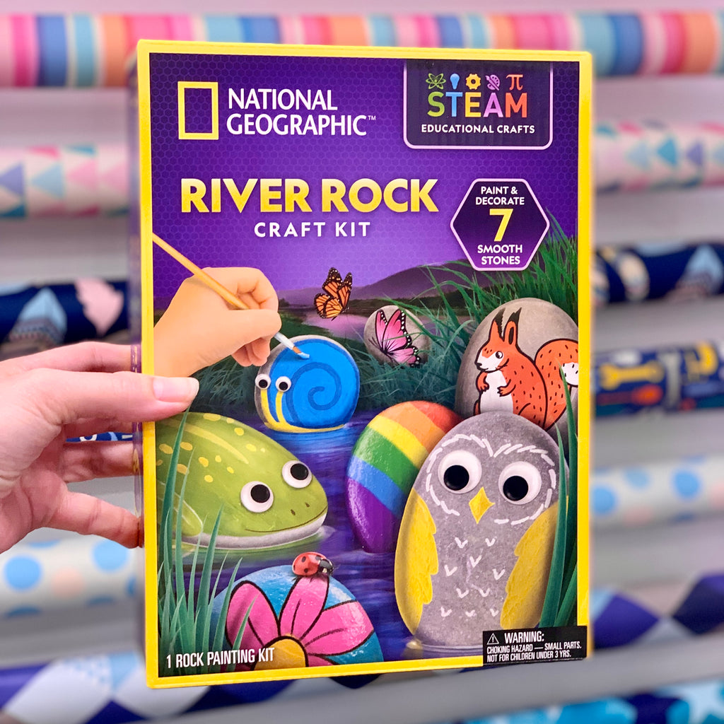 National Geographic - River Rock Painting Activity Kit