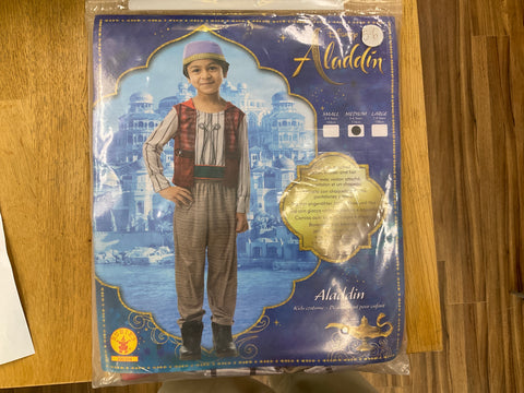 Aladdin costume