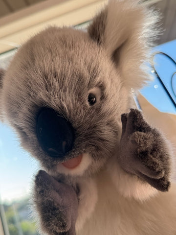 Koala Puppet 28cm H