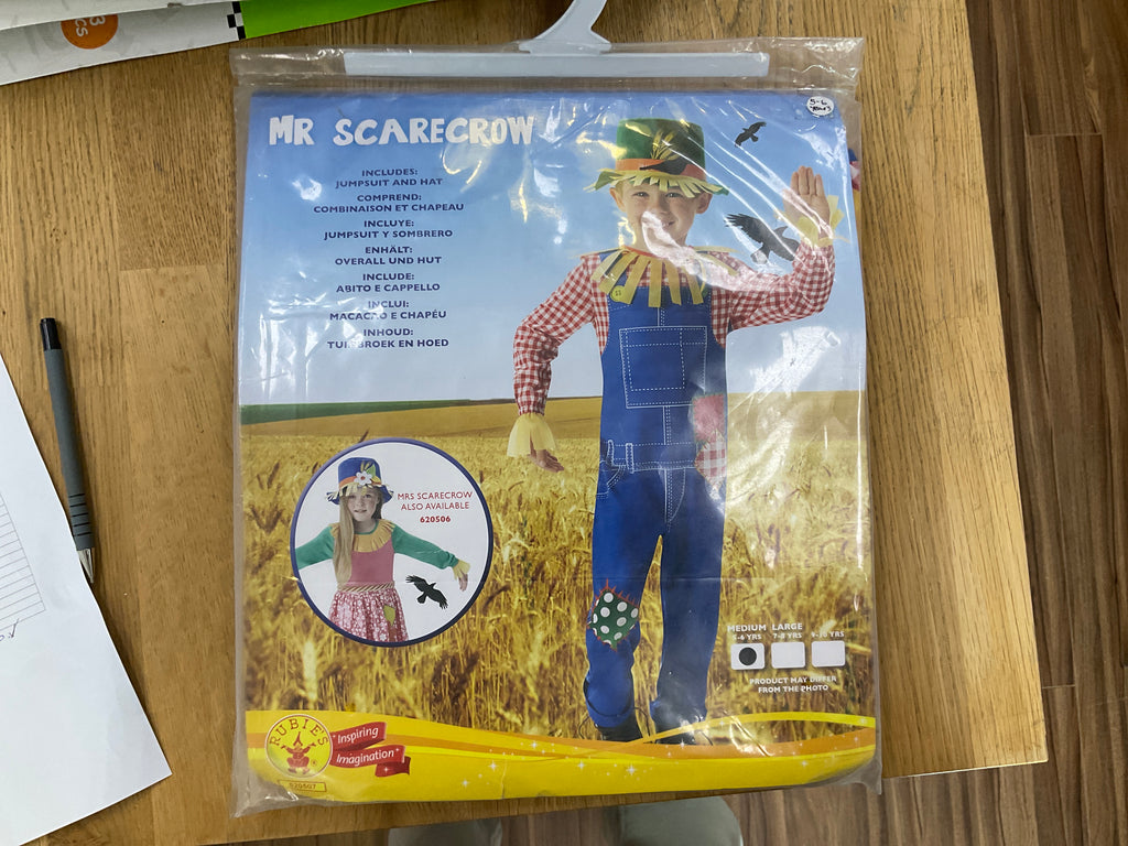 Mr scarecrow costume