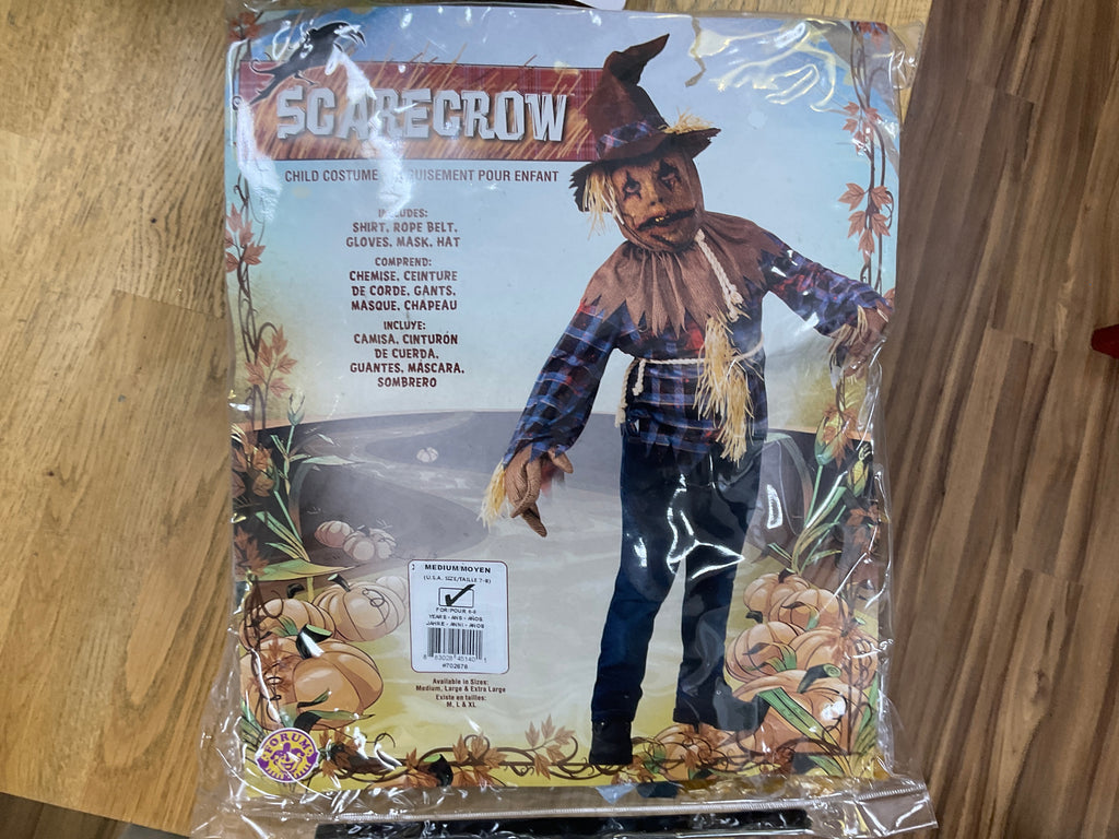 Scarecrow costume (evil)