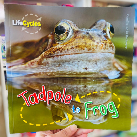 Life cycles - Tadpole to frog book