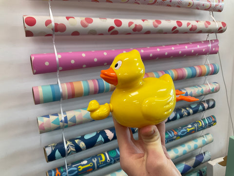 Wind up duck