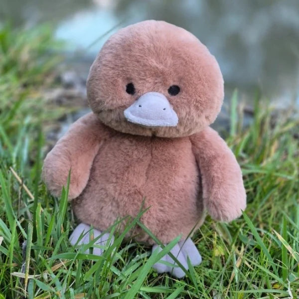 Soft Toy / Plush Collection
