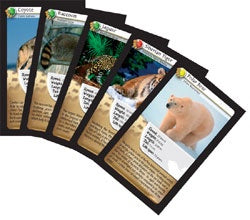 Nature Challenge - Carnivore- Card Game